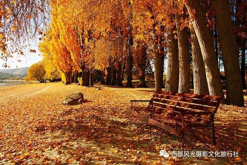 我的老师是偶像